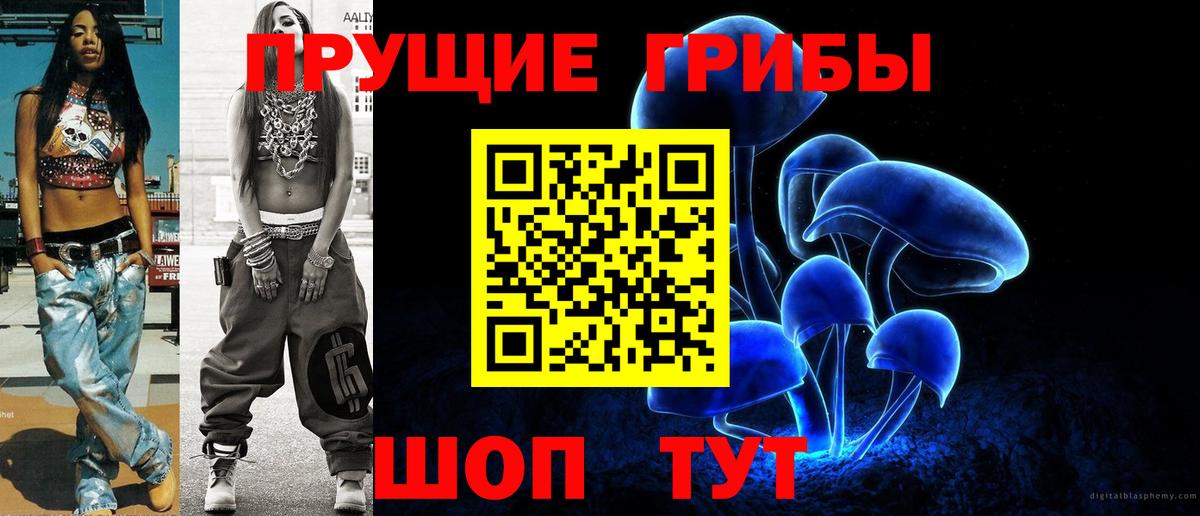 Мурино  купить  цена  Псилоцибиновые грибы Psilocybine cubensis  Вход с VPN  Галлюциногенные грибы Cubensis 